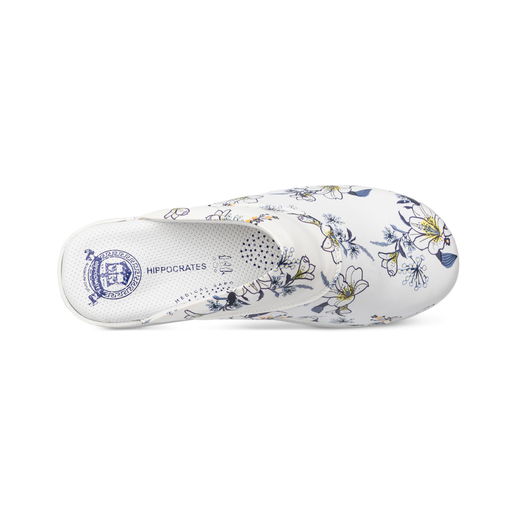 Hippocrates Modell 010- 17 WS