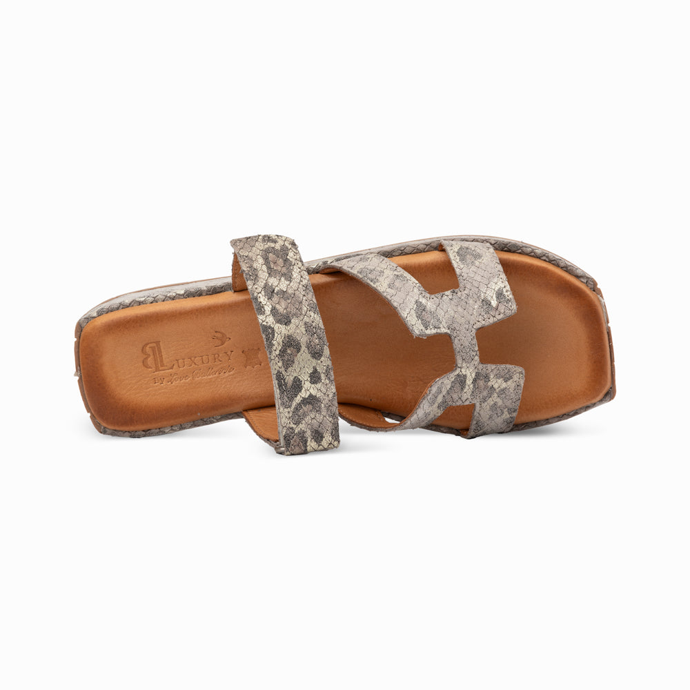 Love Ballerins Model 114 - Vizon Leo