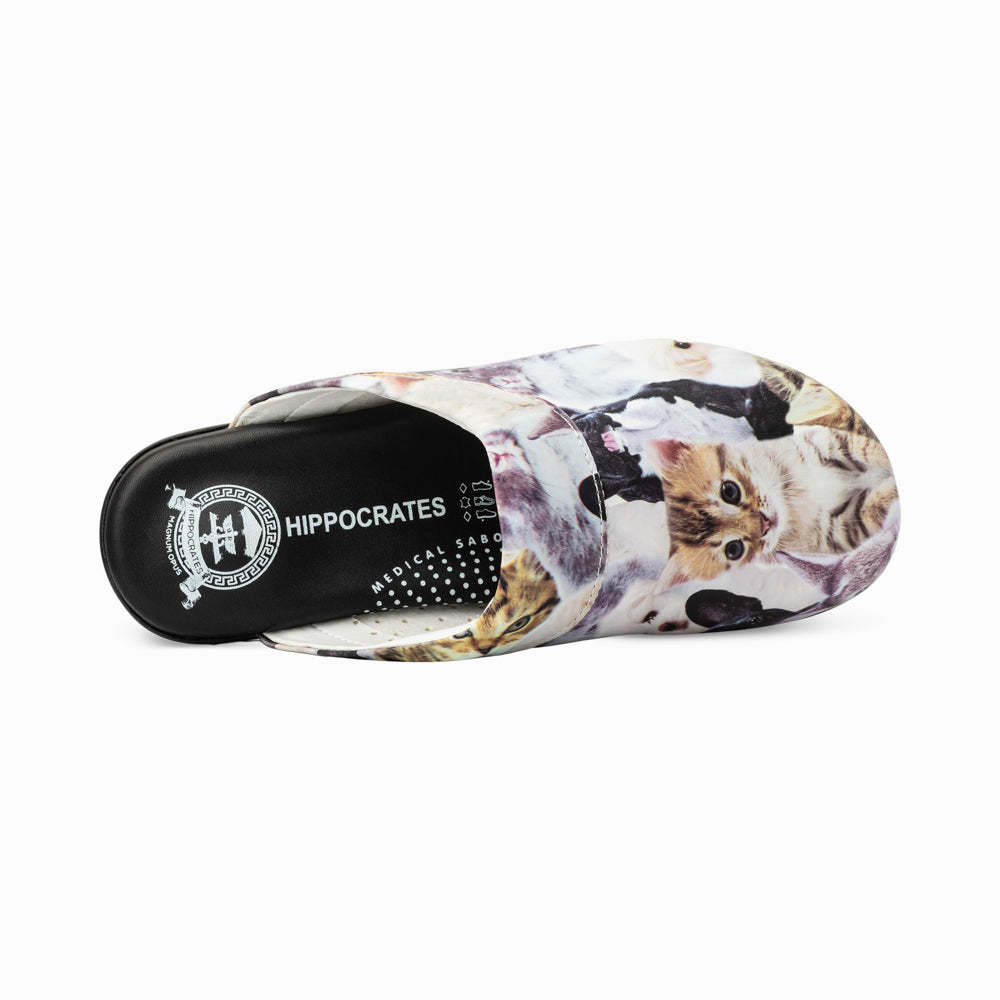 Hippocrates Modell 020-95 BS