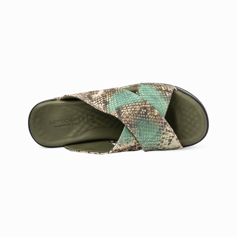 Hippocrates Modell 700 - Green Snake