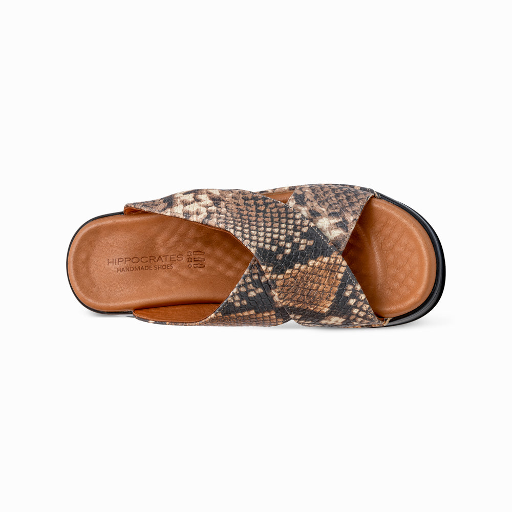 Hippocrates Modell 700 - Coconut Snake