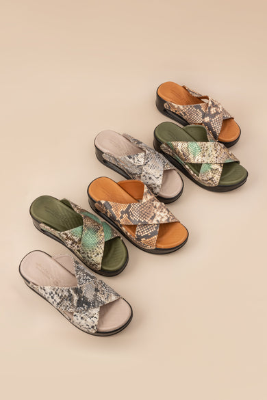 Hippocrates Slippers