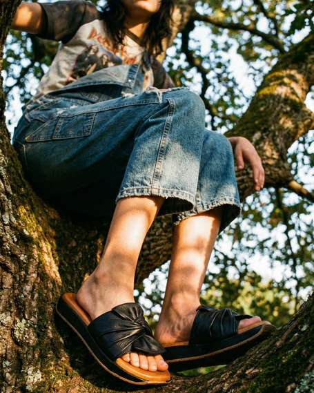 All collections at one glance