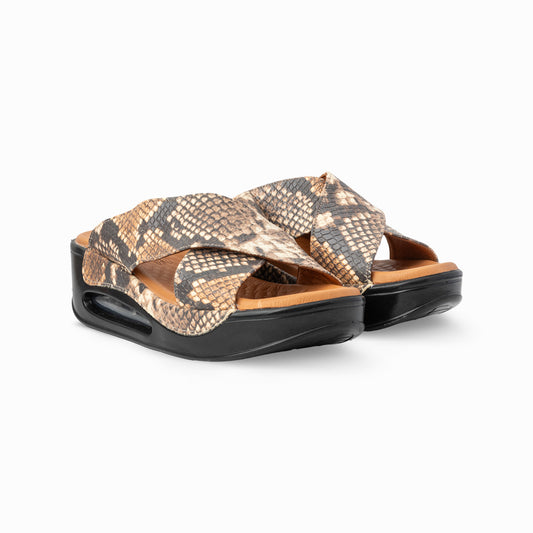 Hippocrates Modell 700 - Coconut Snake