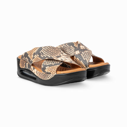 Hipokratov model 700 - kokosova zmija