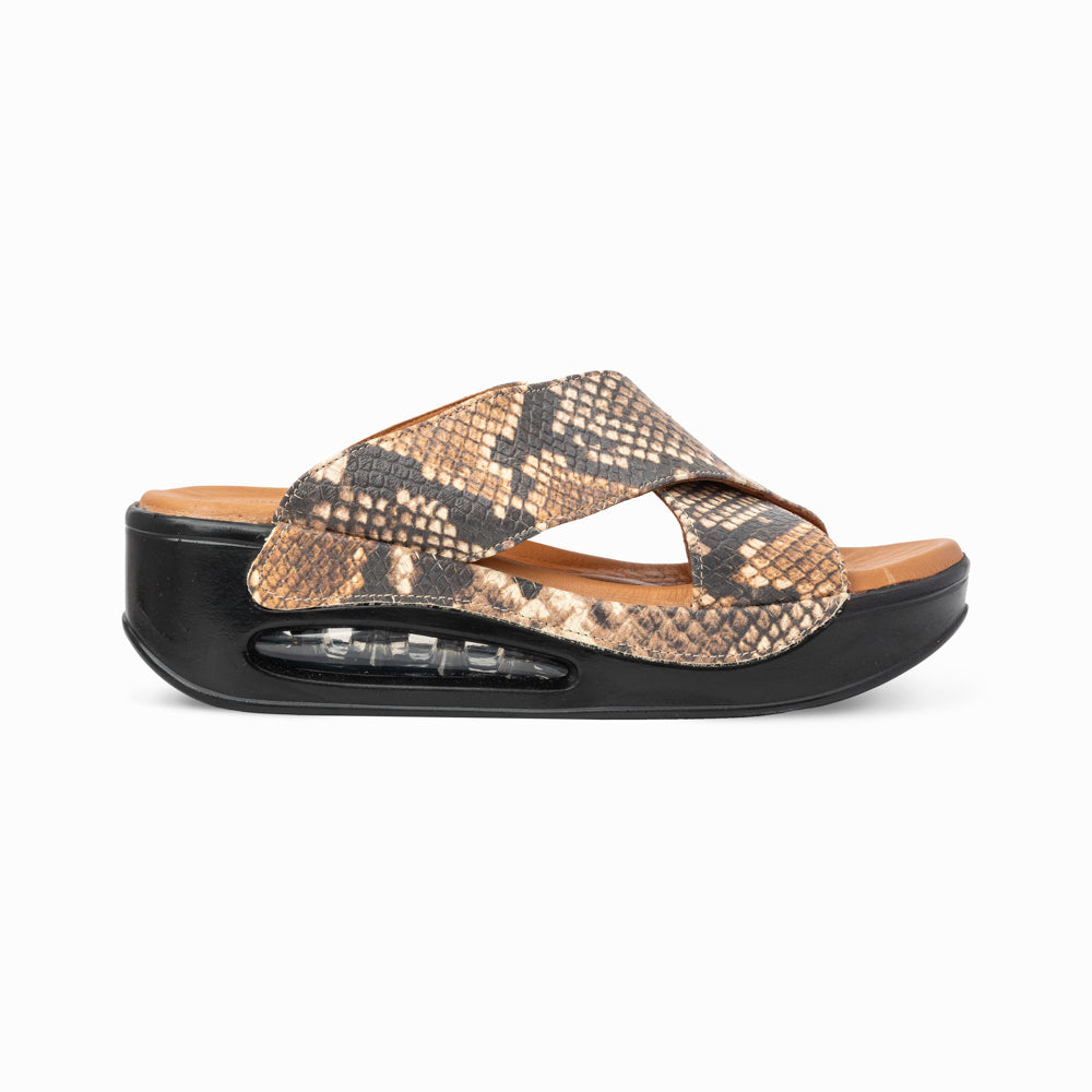 Hippocrates Modell 700 - Coconut Snake