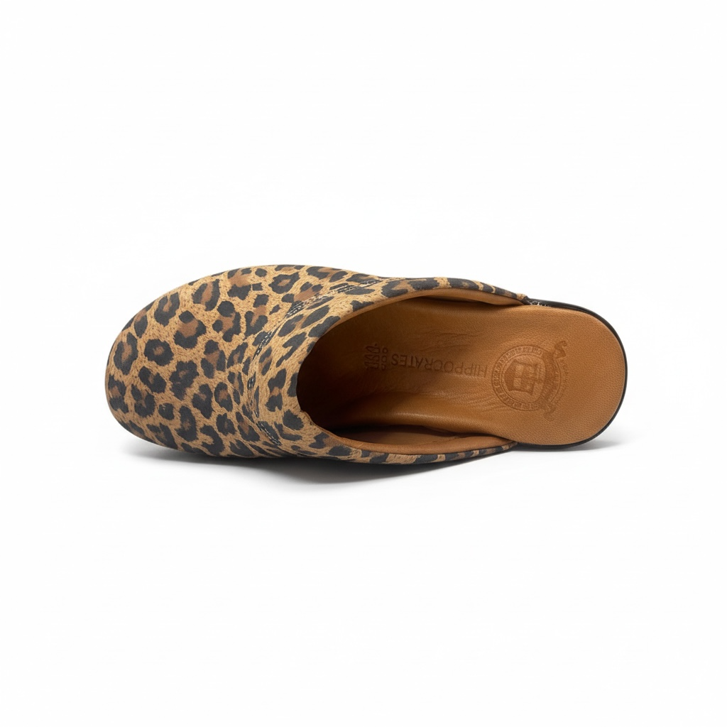 Hippocrates Model 2022 Taba Leo