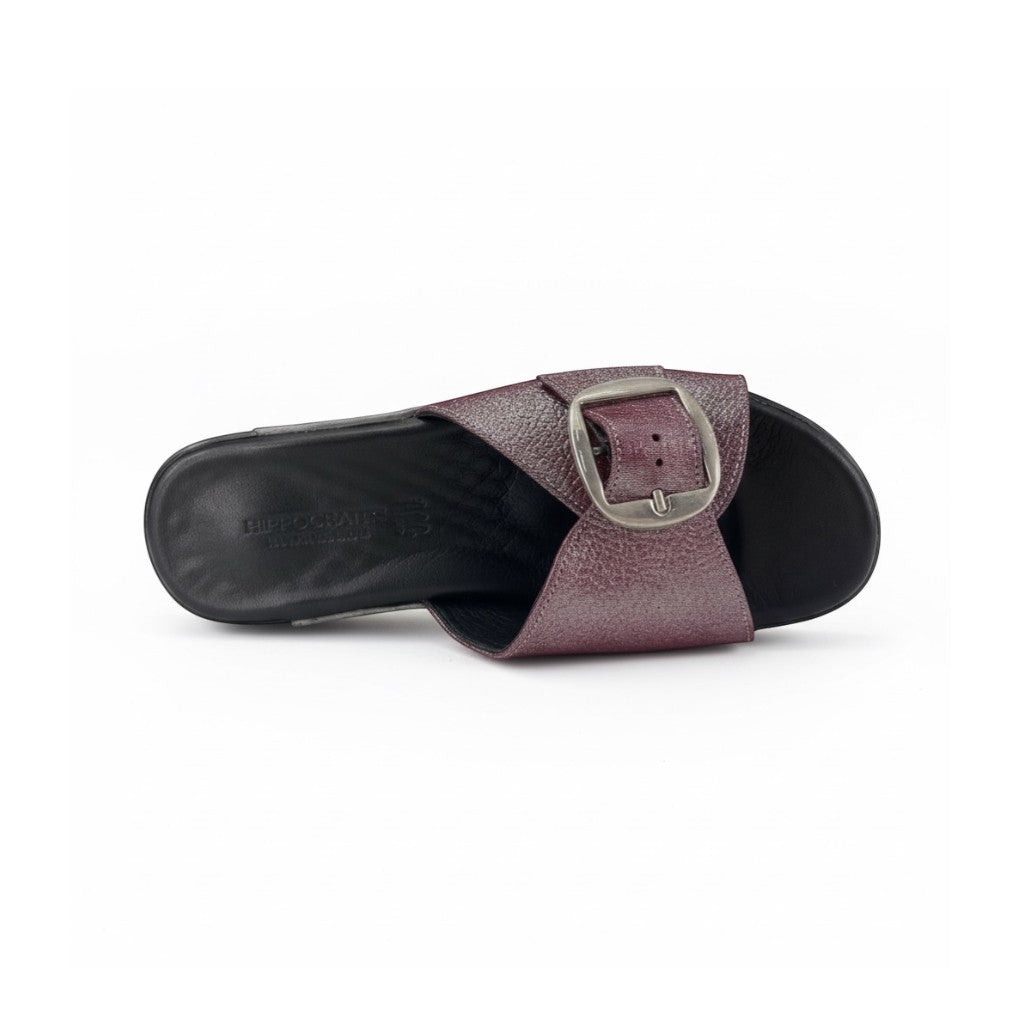 Hippocrates Model 830- 60