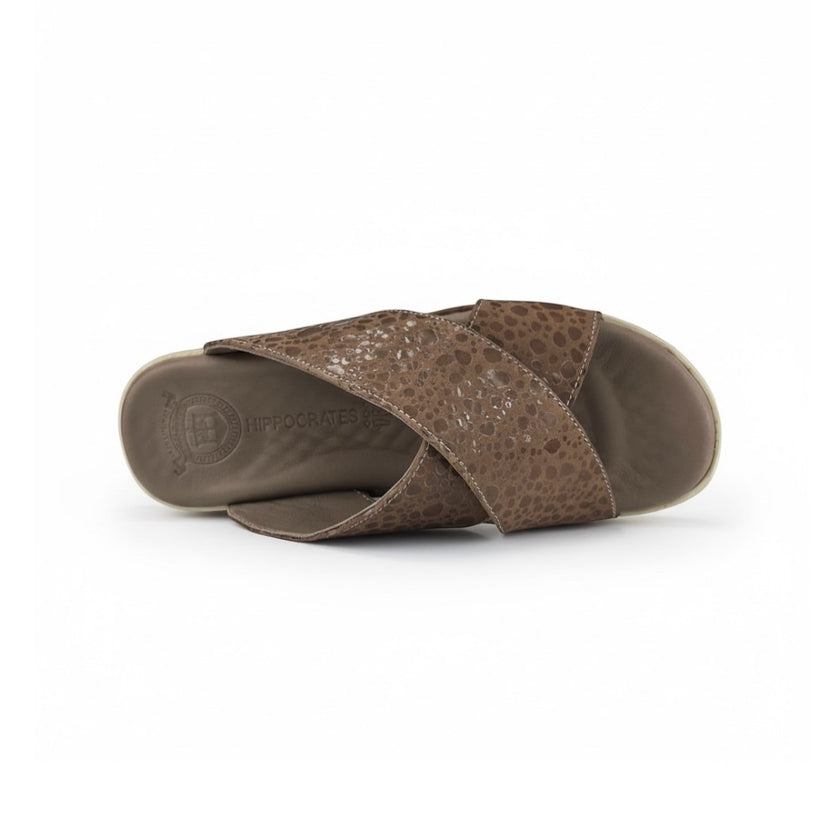 Hippocrates Model 700 - Vizon Beans WS