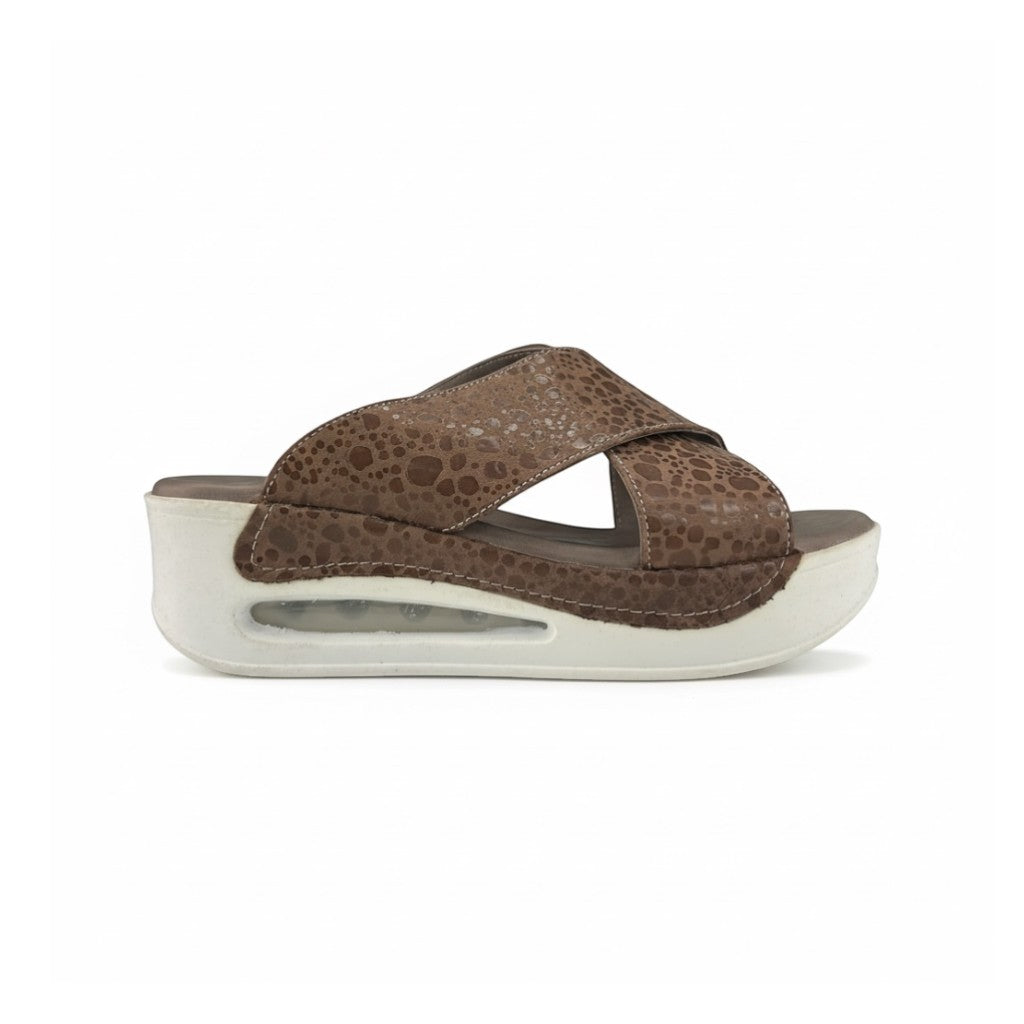 Hippocrates Model 700 - Vizon Beans WS