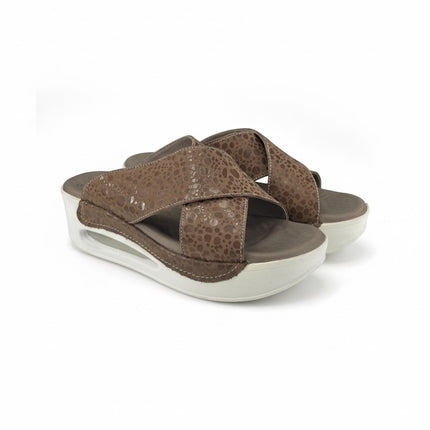 Hippocrates Model 700 - Vizon Beans WS