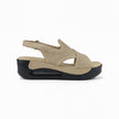 Hippocrates Model 740 - Bone