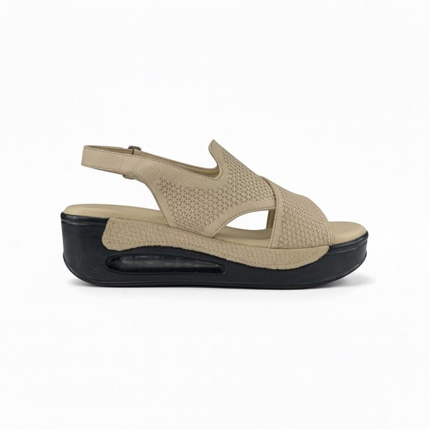 Hippocrates Model 740 - Bone