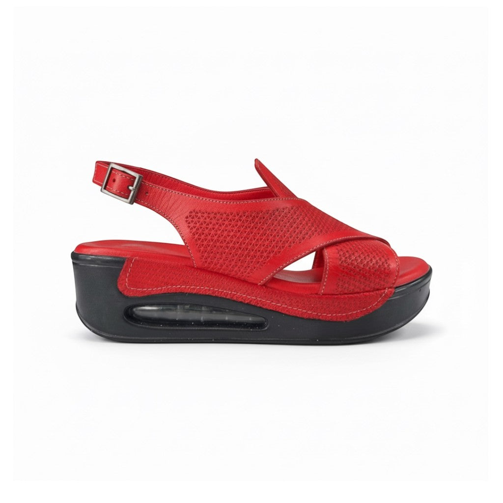 Hippocrates Model 740 - Salsa