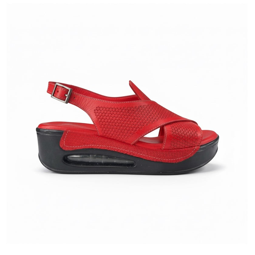 Hippocrates Model 740 - Salsa