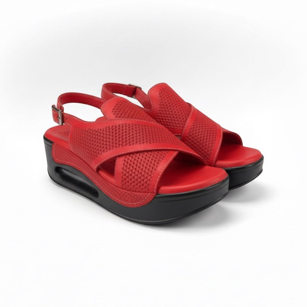 Hippocrates Model 740 - Salsa