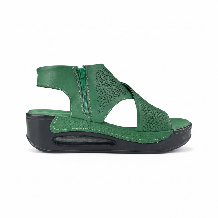 Hippocrates Model 730 - Pine
