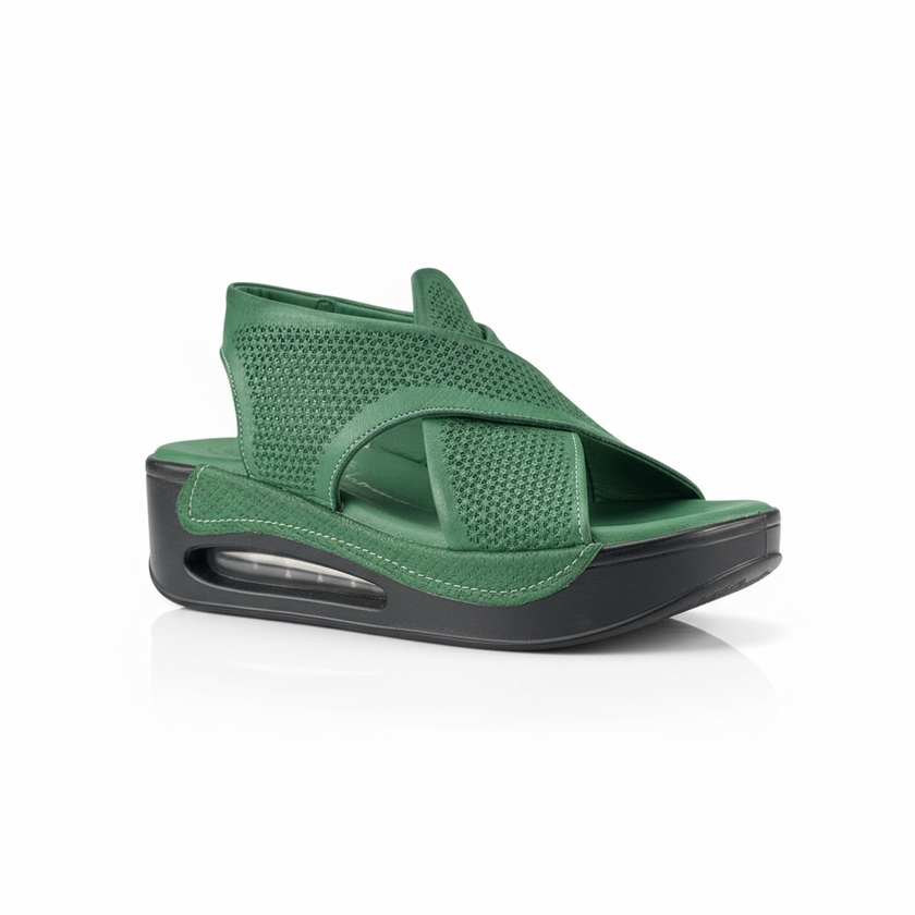 Hippocrates Model 730 - Pine