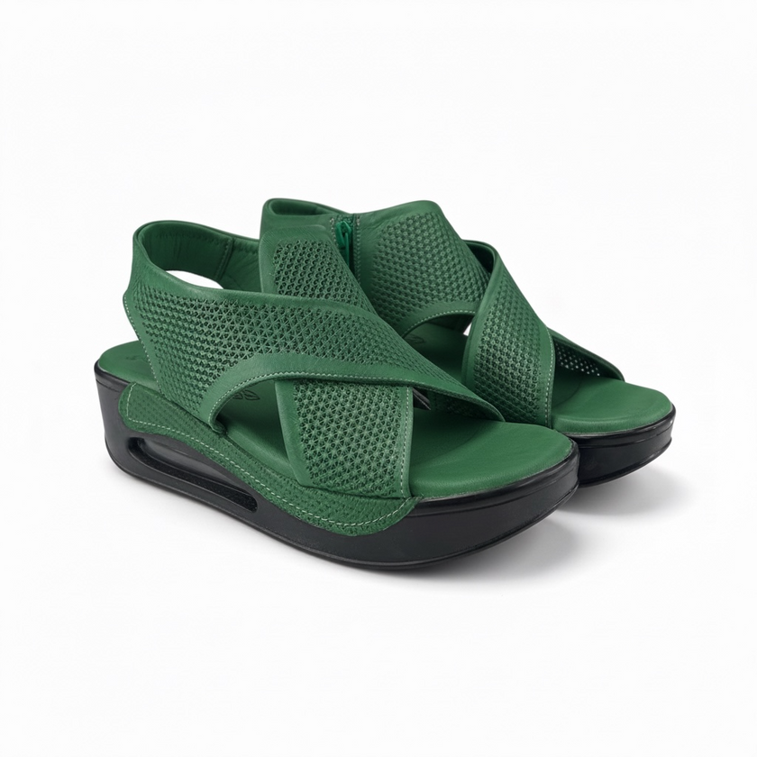 Hippocrates Model 730 - Pine