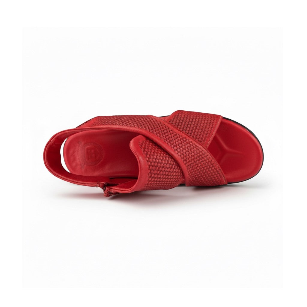 Hippocrates Model 730 - Salsa