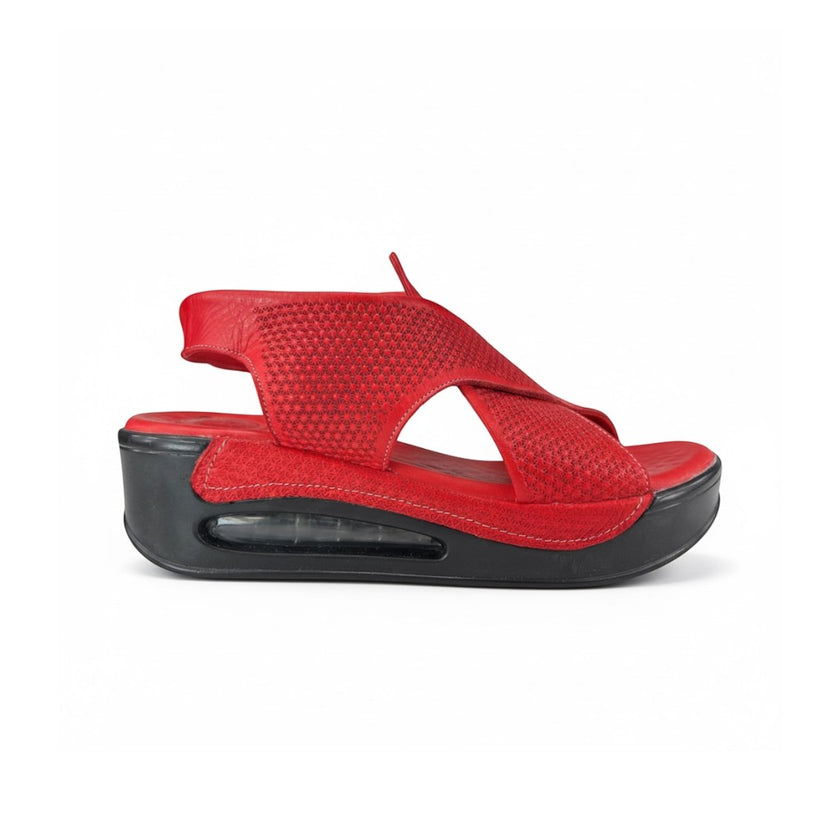 Hippocrates Model 730 - Salsa