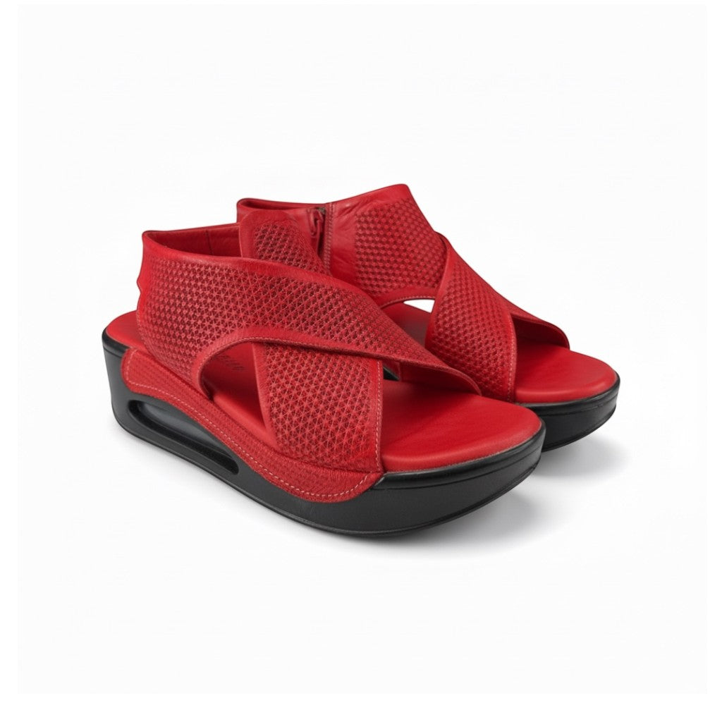 Hippocrates Model 730 - Salsa