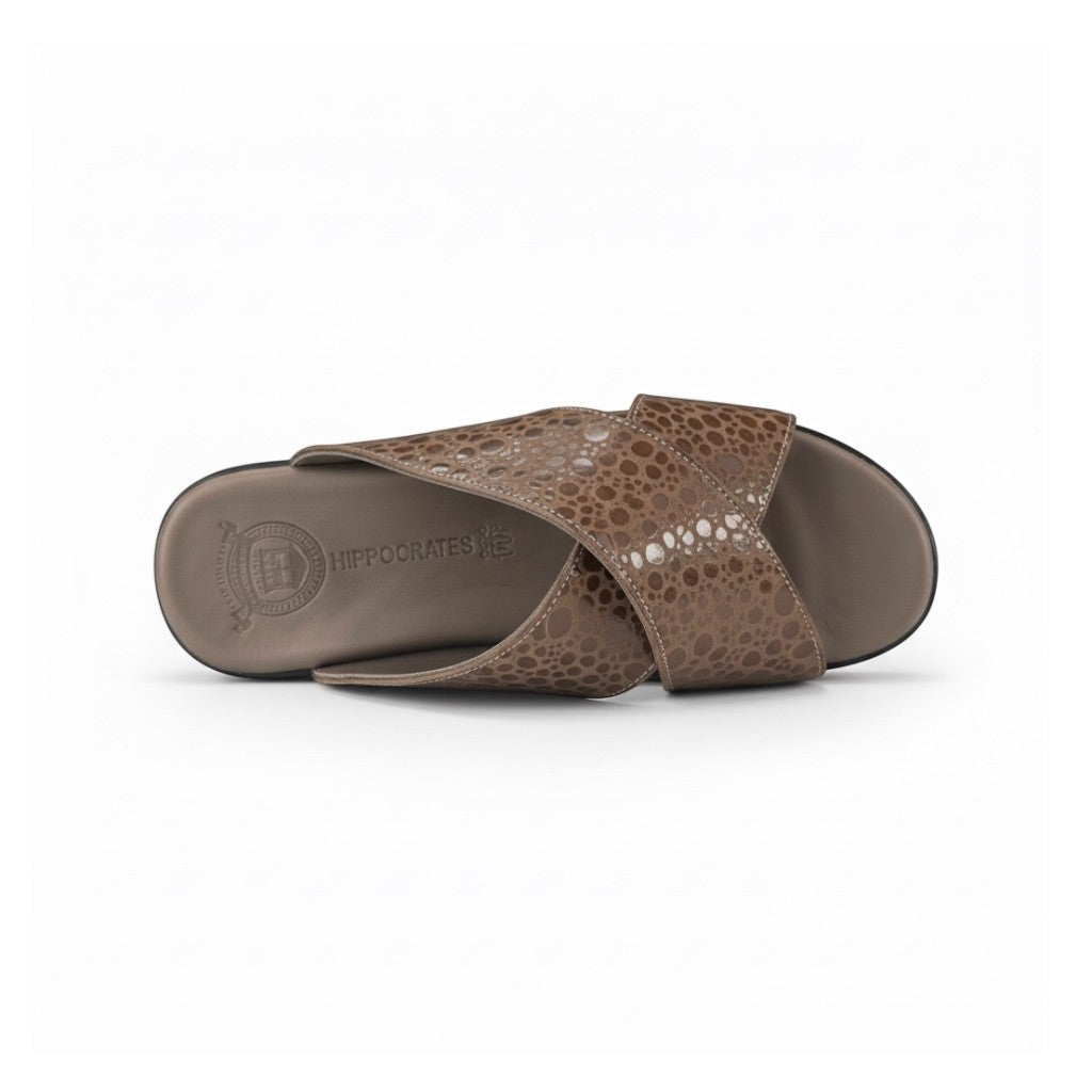Hippocrates Model 700 - Vizon Beans BS