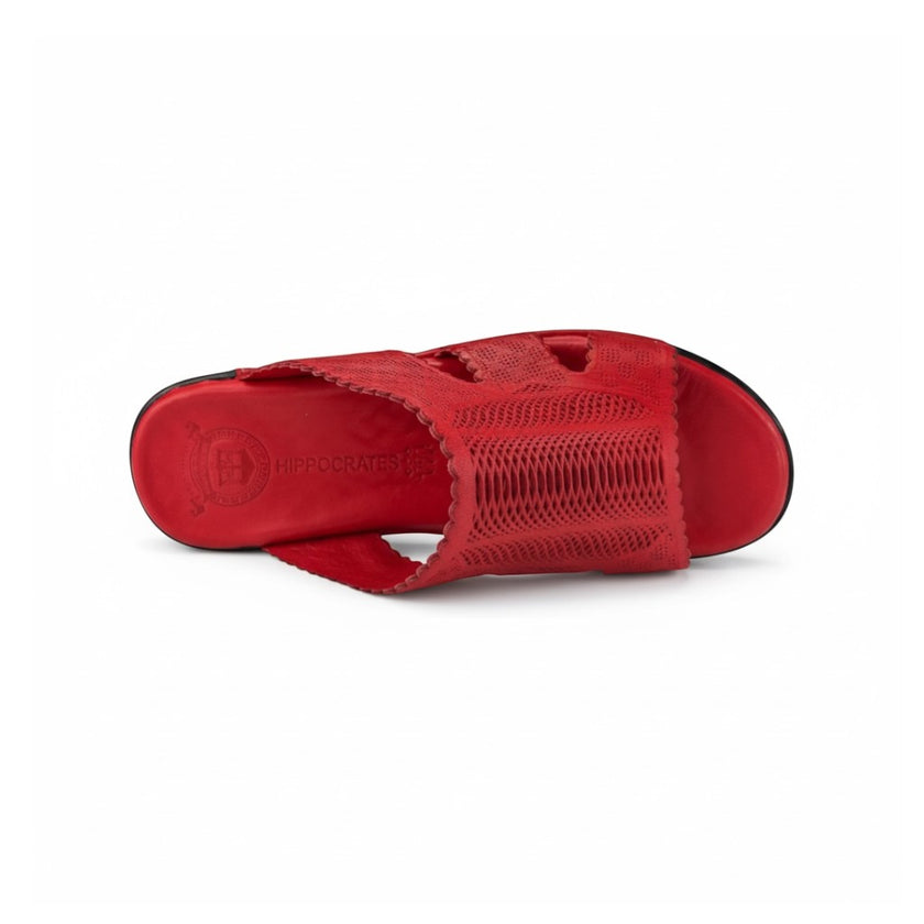 Hippocrates Model 720 - Salsa