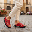Hippocrates Model 720 - Salsa