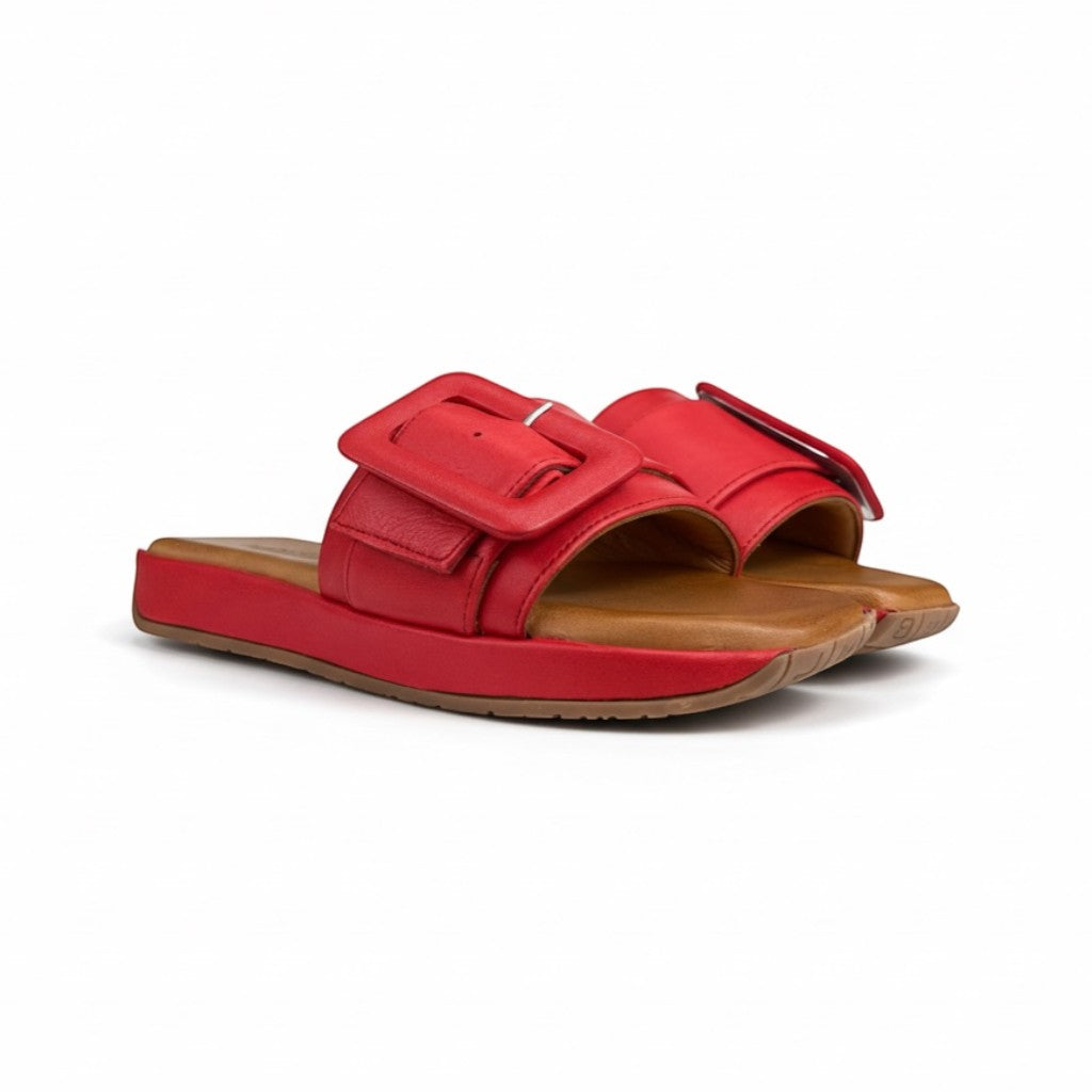 Love Ballerins Model 103- Salsa
